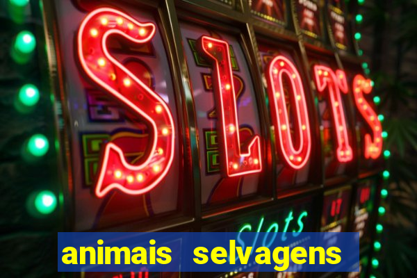 animais selvagens fotos e nomes